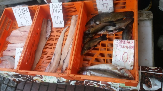 Samochód, kilkadziesiąt wędek i około 30 kilogramów skłusowanych ryb zatrzymała w ubiegłym roku Społeczna Straż Rybacka działająca przy Okręgu Polskiego Związku Wędkarskiego w Szczecinie.