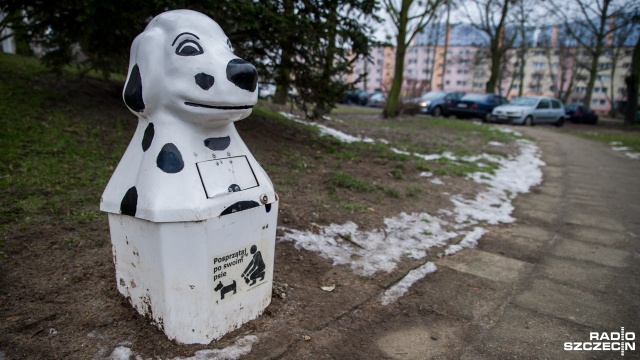Stopniał śnieg - na ulicach Szczecina pojawiły się przebiśniegi. Tak skrywane pod śniegiem niespodzianki nazywają miejskie służby porządkowe. I nie o kwiaty tu chodzi a o śmieci, odpadki i zwierzęce odchody.