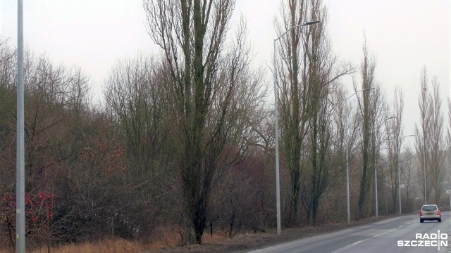 Ulica Bogumińska w Szczecinie z nowym oświetleniem. Na odcinku pomiędzy ulicami Hożą i Pokoju zainstalowano 31 lamp typu LED.