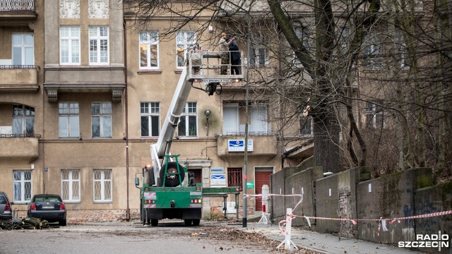 Kiedyś dwa, teraz nawet cztery - tyle drzew dziennie wycina tylko jedna szczecińska firma. Potwierdziło to kilku przedsiębiorców, z którymi rozmawialiśmy.
