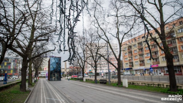 Sznury świątecznych lampek wiszą na drzewach w Alei Kwiatowej w Szczecinie. Za niecałe 3 tygodnie Wielkanoc, ale to nie zające i bazie... a ozdoby bożonarodzeniowe.