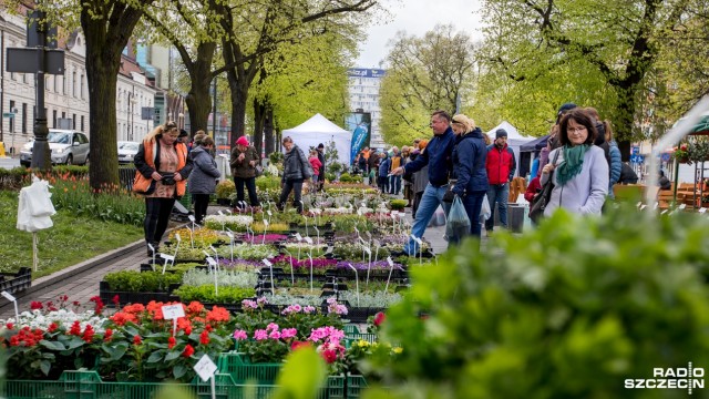 W alei znajduje się blisko 30 stoisk ze wszystkim, co potrzebne do ogrodu czy działki. W ramach wydarzenia Miasto Ogród są kwiaty, świeże zioła, meble, a także warsztaty np. jak zrobić kosz wiklinowy.
