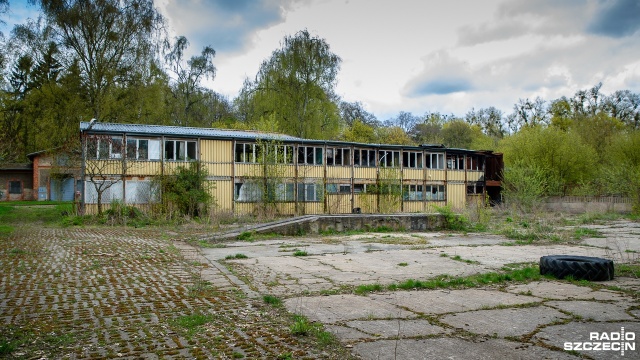Działkę, na której funkcjonuje popularna zagroda ze strusiami sprzedaje Zachodniopomorski Uniwersytet Technologiczny - chodzi o teren przy ul. Judyma w Szczecinie, gdzie swoją siedzibę ma Wydział Biotechnologii i Hodowli Zwierząt.