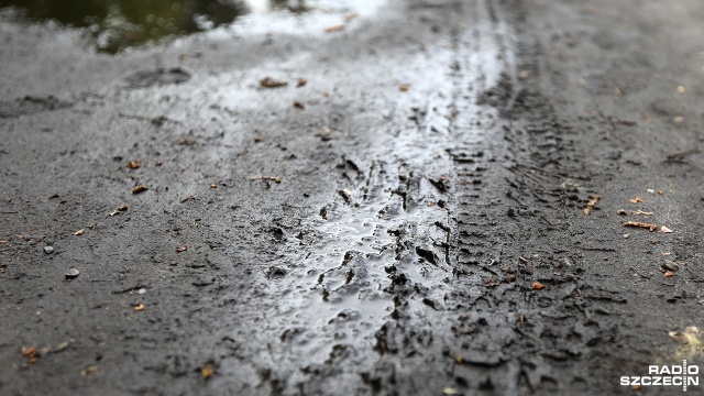 Rada Osiedla Podjuchy walczy z rozjeżdżaniem Puszczy Bukowej przez quady, motocykle i samochody terenowe. Jej przedstawiciele wystąpili do Szczecińskiego Parku Krajobrazowego o zamknięcie dróg dojazdowych od strony Podjuch.