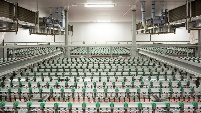 Producent drobiu informuje, że za ponad 200 milionów złotych modernizuje budynki w Goleniowie i w szczecińskim Dąbiu.