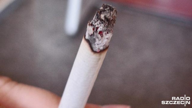 31 maja obchodzony jest Światowy Dzień Bez Tytoniu. Dla palaczy może to być kolejna okazja, aby spróbować zerwać z nałogiem. Statystycznie, aby rzucić palenie, potrzeba ośmiu prób.