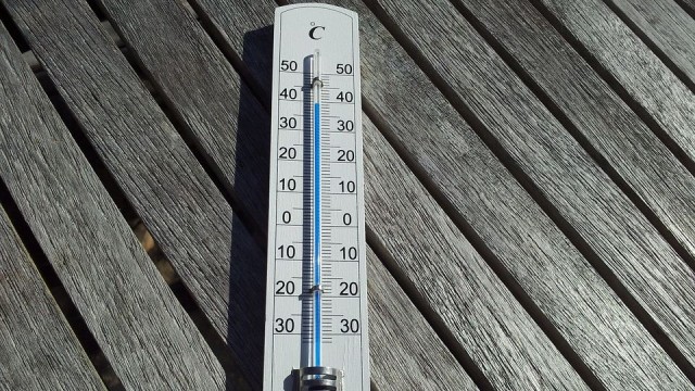 Stan alarmowy najwyższego stopnia w Rzymie - to w związku z upałami. Meteorolodzy przewidują, że temperatura przekroczy 35 stopni, a odczuwalna wyniesie 40 stopni Celsjusza.