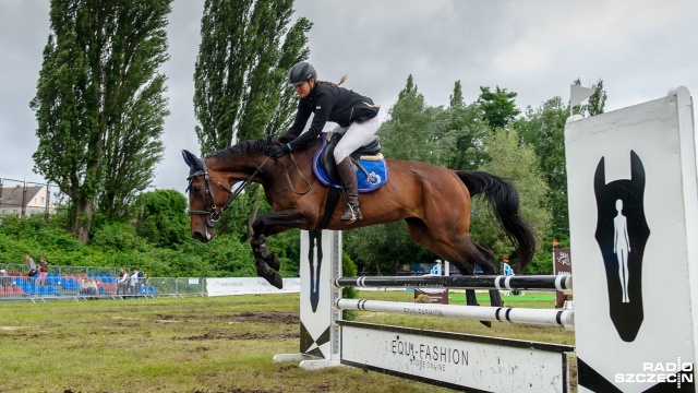 Jeźdźcy i konie rywalizują w Szczecinie. Na stadionie przy ul. Bandurskiego trwa Sedina Horse Show.