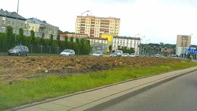 Chabry, wiesiołki czy maki polne - w sumie około 30 roślin zostanie posianych na szerokim pasie między jezdniami przy ulicy Przyjaciół Żołnierza w Szczecinie.