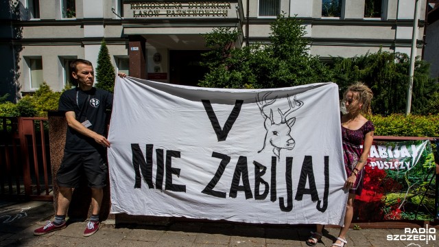 Kilkanaście osób wzięło udział w proteście przeciwko wycince drzew m.in. w Puszczy Bukowej. Manifestacja odbyła się przed budynkiem Regionalnej Dyrekcji Lasów Państwowych w Szczecinie. Aktywiści z Inicjatywy na Rzecz Zwierząt Basta sprzeciwiają się planom dyrekcji, która wprowadza nowy, 10-letni plan wycinki. Zakłada on, że leśnicy w ciągu roku będą pozyskiwać z lasu o jeden procent więcej drewna niż w ciągu ostatnich 10 lat.