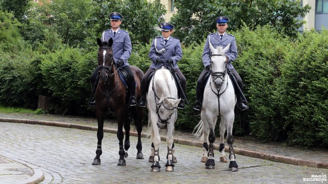 Policja to służba, która cieszy się coraz większym poziomem zaufania społecznego - wynika z najnowszych badań przeprowadzonych na przełomie marca i kwietnia. Z ankiet Centrum Badania Opinii Społecznej wynika, że aż 95 proc. badanych czuje się bezpiecznie w miejscu swojego zamieszkania, a 89 proc. twierdzi, że Polska jest krajem bezpiecznym.