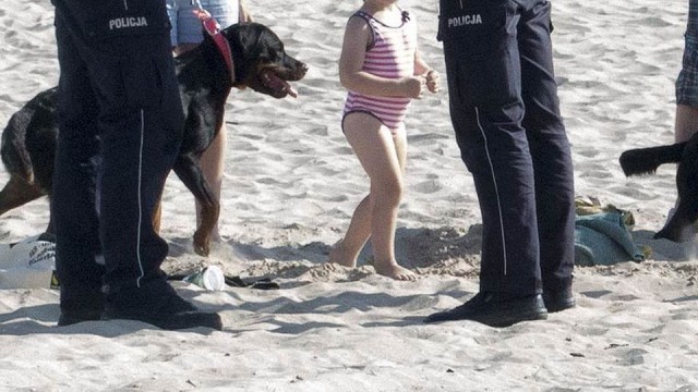 Rottweiler zaatakował 8-letniego chłopca na świnoujskiej plaży. Dziecko ma pogryzione ręce i nogę, a właścicielka czworonoga za brak dozoru nad psem oraz za... pobicie policjanta, stanie przed sądem.