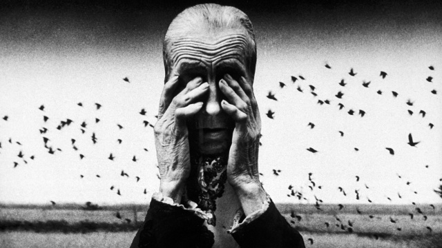 Zdjęcia nestorki polskiej fotografii prezentowane w Muzeum Narodowym na Wałach Chrobrego - fotografie Zofii Rydet będzie można oglądać w Szczecinie do początku października.