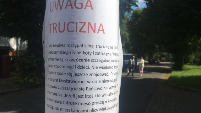 Przed trującą dla zwierząt substancją wyłożoną na szczecińskim Pogodnie ostrzegają mieszkańcy. Została rozrzucona w kilku miejscach ul. Makuszyńskiego. Resztki jedzenia znaleziono przy domach i niedaleko placu zabaw.