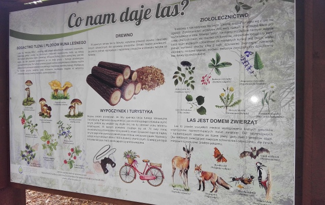 Wokół Jeziora Głębokiego w Szczecinie powstała ścieżka dydaktyczna. Ma ponad 5 kilometrów.