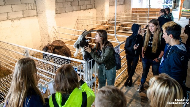 Rozpoczęły się 30. Barzkowickie Targi Rolne Agro Pomerania 2017. To największe w regionie targi rolnicze, ale - jak się okazuje - coś dla siebie znajdą tam nie tylko producenci rolni.