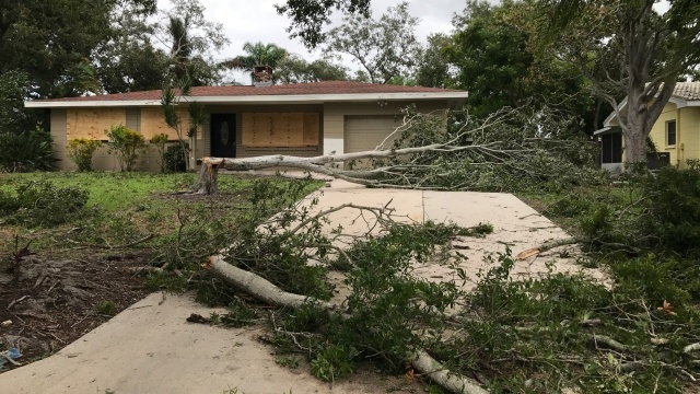 Ponad siedem milionów Amerykanów spędziło noc w ciemnościach. To jeden ze skutków huraganu Irma, który przeszedł nad Florydą i innymi stanami USA. Straty po przejściu żywiołu nie zostały jeszcze oszacowane. Amerykańskie władze informują o sześciu ofiarach śmiertelnych.