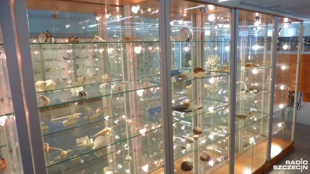 Największą atrakcją, zwłaszcza dla dzieci, były eksponaty Muzeum Geologicznego - to w ramach Festiwalu Nauk, którego kolejna edycja odbywa się na Uniwersytecie Szczecińskim.