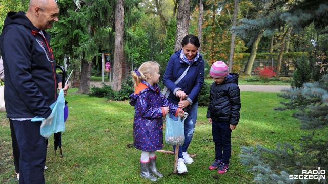 5 tysięcy krokusów posadzili w sobotę mieszkańcy Szczecina na Różance w ramach 6. edycji Krokusowej Rewolucji.