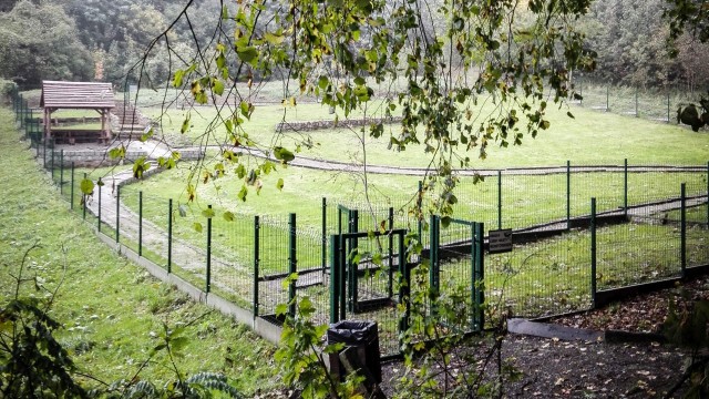 Tym razem oprócz ogrodzonego miejsca dla dużych psów, powstanie też pierwszy w Szczecinie wybieg dla szczeniaków i małych psów.
