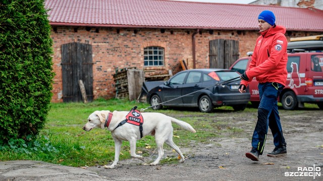 Ponad sto osób wzięło udział w pozorowanej akcji poszukiwawczej w położonym w powiecie polickim Leśnie Górnym. To w ramach wspólnych ćwiczeń Straży Pożarnej oraz Grupy Poszukiwawczo-Ratowniczej OSP Wołczkowo.