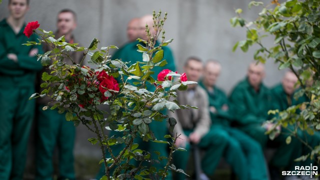 Od stycznia samorządowcy będą mogli zatrudniać skazanych nie tylko do prac porządkowych. Pozwoli na to nowelizacja ustawy, która da wójtom, burmistrzom i prezydentom miast możliwość nieodpłatnego zatrudniania więźniów m.in. w szpitalach czy przy budowach dróg.