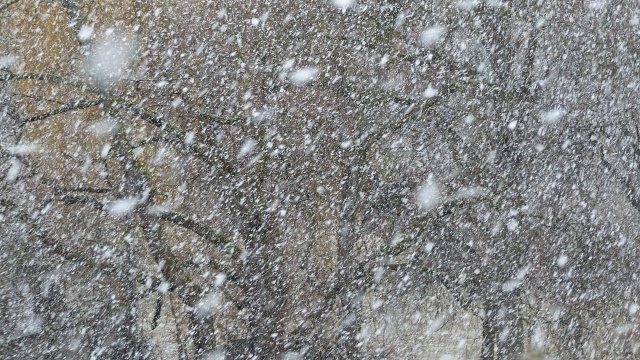 Zamiecie śnieżne i niska temperatura utrudniają mieszkańcom północno-wschodniego wybrzeża Stanów Zjednoczonych i środkowej części kraju powrót do domów po świętach. W USA Boże Narodzenie jest obchodzone tylko jeden dzień - 25 grudnia.