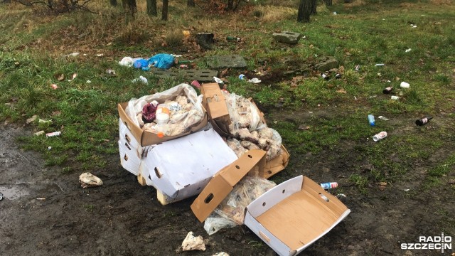 Paleta z kartonami pełnymi zwierzęcych szczątków od kilku dni leży na parkingu przy ekspresowej trójce niedaleko Goleniowa. Zostały tam albo podrzucone, albo zgubione.