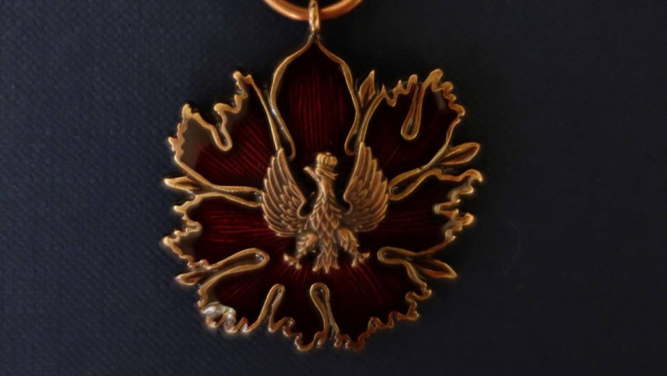 Brązowy Medal "Zasłużony Kulturze Gloria Artis". Źródło fot.: www.pl.wikipedia.org/Wulfstan