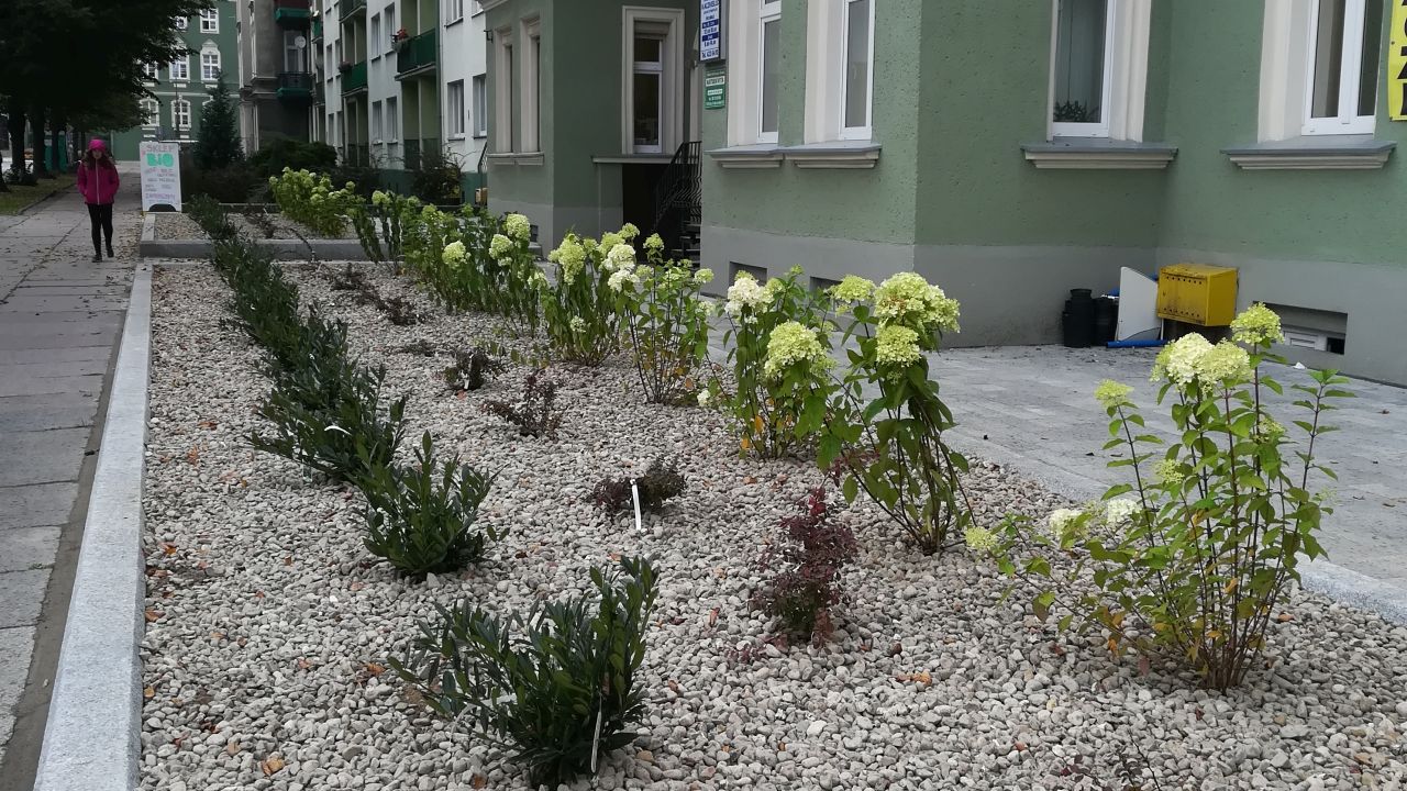 Miasto rozdzieliło środki na tegoroczne programy. Łącznie dofinansowanie otrzyma 25 projektów. W ich ramach powstaną m.in. nowe place zabaw, zielone oazy i kwietniki przed budynkami.