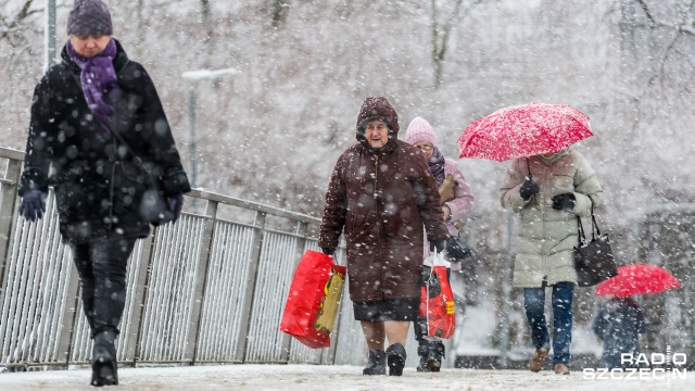 W regionie, w czwartek po południu, zaczął sypać śnieg. To oznacza spore utrudnienia na ulicach Szczecina i województwa. Największe problemy mają autobusy komunikacji miejskiej, które nie mogą podjechać zarówno pod ulicę Strzałowską na Golęcinie, jak i pod Duńską w kierunku Warszewa. Opóźnienia na niektórych liniach sięgają już niemal godziny.