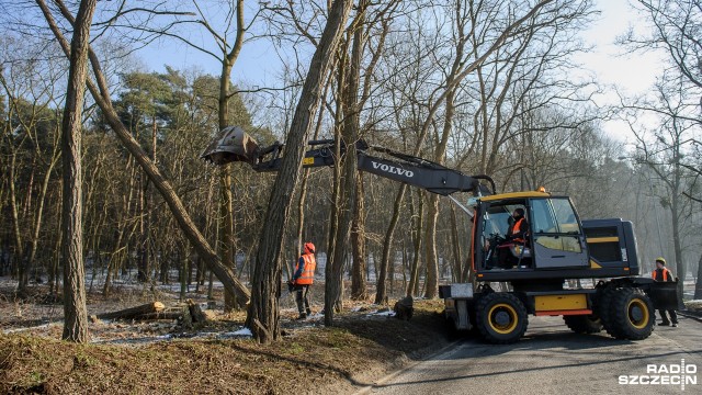 Część ulicy Arkońskiej między Wojciechowskiego w Szczecinie - tuż przed pętlą tramwajową - a Leśniczówką Białą obok Arkonki jest już w obie strony zamknięta. Rozpoczęła się tam wycinka przydrożnych drzew.