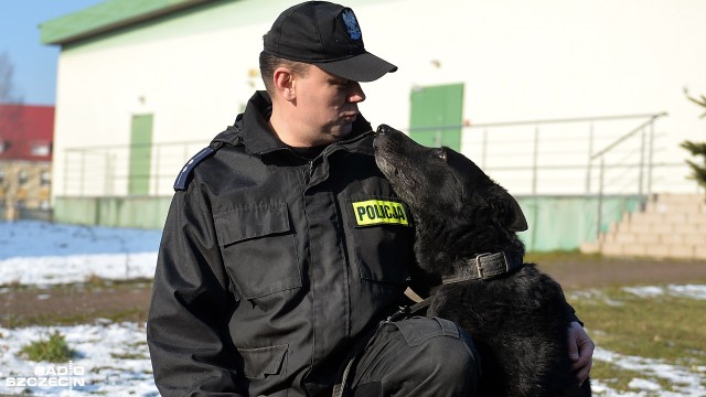 Z honorami, po 10 latach służby, policjanci ze Szczecina pożegnali Brutusa. Owczarek niemiecki, bo o nim mowa, odszedł w czwartek na zasłużoną emeryturę.