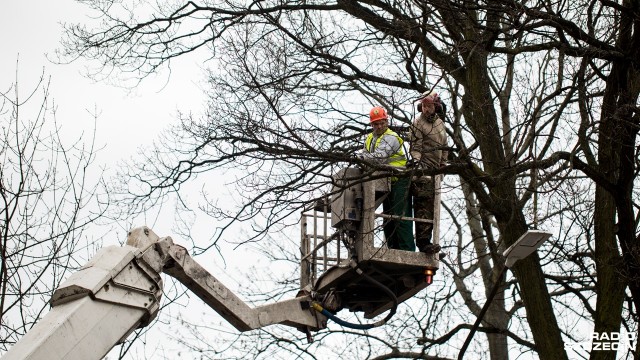 Trzeba bardzo uważać przy węźle Kijewo. Rozpoczęła się tam wycinka drzew. To prace przygotowawcze do rozbudowy węzła, który docelowo połączy autostradę A6 z drogą krajową nr 10.