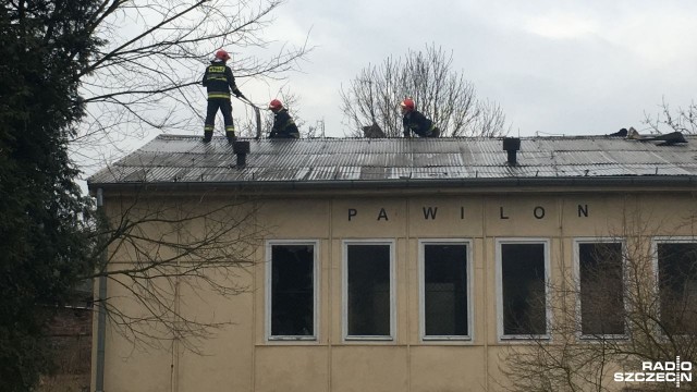 Dziewięć zastępów straży gasi pożar w szczecińskich Zdrojach.