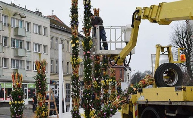 W weekend nieznany sprawca ukradł jedną z dziesięciu, kilkumetrowych palm, które miasto ustawiło w centrum.