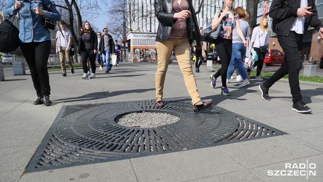 Dwa buki i lipa - jeszcze w tym roku pojawią się na placu Rodła - zapewnia Zakład Usług Komunalnych. W ubiegły weekend pracownicy ZUK-u wycięli trzy topole, które były pamiątką po czasach, gdy plac Rodła jeszcze nie istniał.