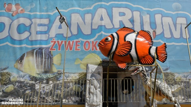 Nowe oceanarium w Międzyzdrojach [ZDJĘCIA]