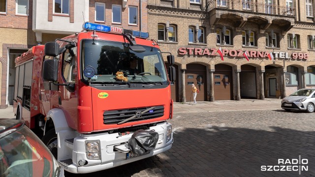 Wychodząc do pracy nikt nie daje im gwarancji, że z niej wrócą. Za zupełnie obcego dla siebie człowieka dosłownie: wskoczyliby w ogień. I często to robią. Ufa im społeczeństwo - według danych za ubiegły rok - niemal 90 Polaków nie powie na ich temat złego słowa.