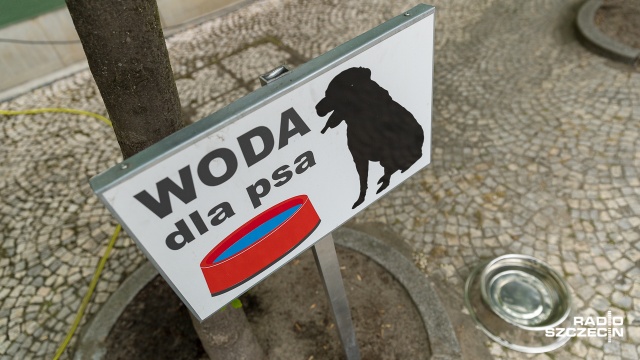 Dobra informacja dla właścicieli psów, którzy idą załatwić sprawy w szczecińskim Urzędzie Miasta.