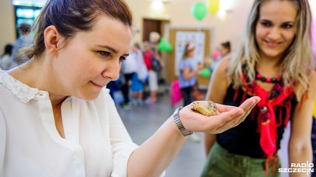 Owadzie origami, dojenie sztucznej krowy, malowanie twarzy i badania mikroskopem - między innymi takie atrakcje czekały na przedszkolaki i uczniów szkół podstawowych podczas Dnia Owada, który odbył się we wtorek na Wydziale Kształtowania Środowiska i Rolnictwa Zachodniopomorskiego Uniwersytetu Technologicznego w Szczecinie.