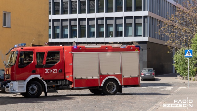 Blisko 90 razy interweniowali już strażacy. To efekt ulewy i silnego wiatru w regionie. Usuwają przede wszystkim przewrócone drzewa czy połamane gałęzie.