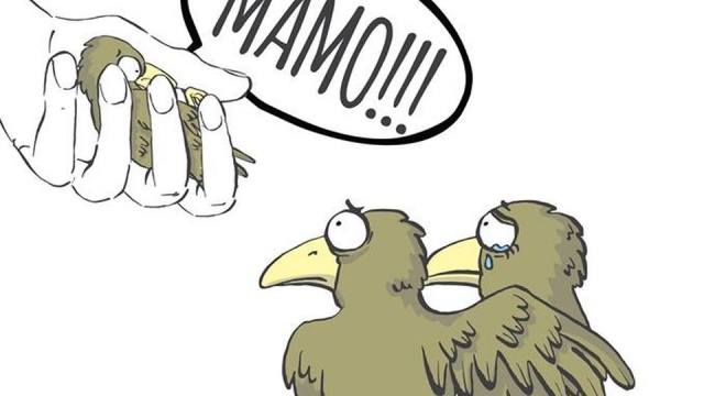 Nie każda pomoc dyktowana pierwszym odruchem serca jest dobra. Szczególnie w przypadku dzikich zwierząt.