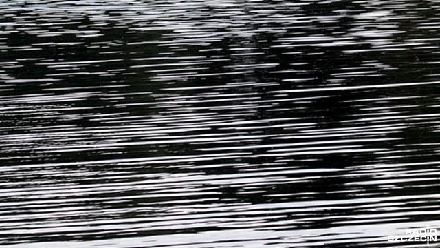 Zakaz kąpieli obowiązuje w jeziorze Zamkowym w Wałczu. Przy plaży przy ulicy Bydgoskiej pojawiły się zanieczyszczenia. To najprawdopodobniej zakwit sinic.