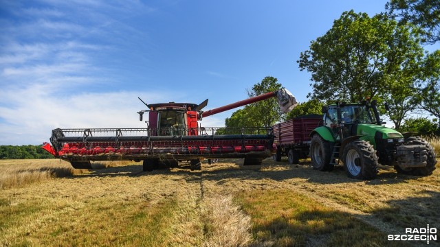 Kombajny poszły w ruch. Rozpoczęły się tzw. małe żniwa, podczas których rolnicy koszą trawy i jęczmień ozimy. Powodów do radości jednak nie ma. Jest za to szacowanie strat po suszy.