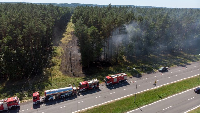 - Płonęło ponad 500 metrów kwadratowych lasu. Pożar mógł się rozprzestrzeniać - informowali strażacy. Zablokowany był jeden pas ruchu w kierunku Płoni.