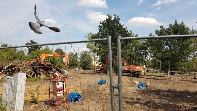 Ciężki sprzęt wjechał do Podjuch, gdzie powstaje Park Wolności. Teraz wykonywane są wykopy pod przyłącze energetyczne. Dzięki niemu oświetlone będą nowe alejki oraz chodniki. W parku stanie też fontanna.