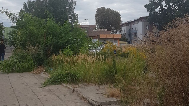Działka po targowisku w Dąbiu będzie wystawiona na sprzedaż. Na razie teren przy ul. Dziennikarskiej jest niezagospodarowany, są tam śmieci, pozostałości po pawilonach i kilkumetrowe chwasty.