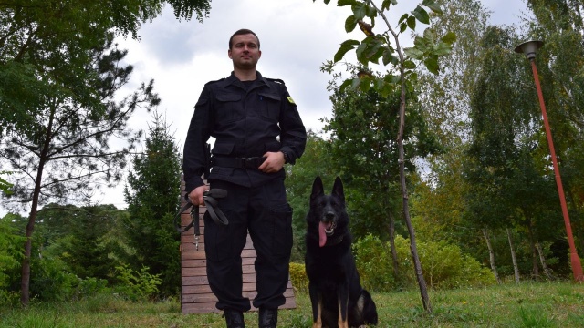 Owczarek niemiecki bohaterem poszukiwań starszej kobiety. Pies z komendy w Policach pomógł odnaleźć 78-latkę chorą na Alzheimera.