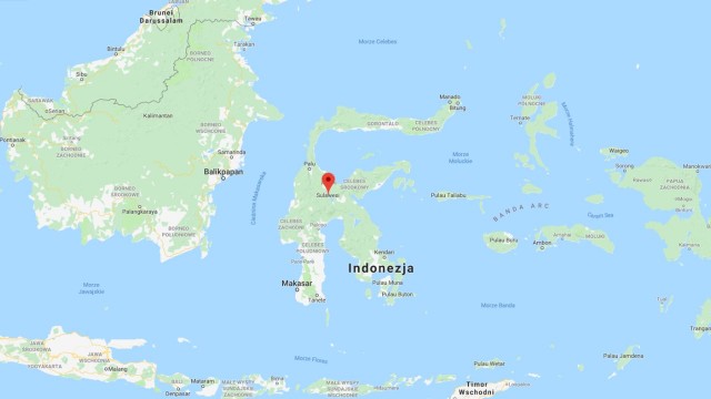 Do ponad 1200 wzrosła liczba ofiar śmiertelnych trzęsienia ziemi i tsunami na wyspie Clebes w Indonezji. Ze względu na obawy przed wybuchem epidemii, na wyspie rozpoczęto masowe pogrzeby ofiar. Ratownicy wciąż nie dotarli jednak na wszystkie tereny dotknięte przez kataklizm.